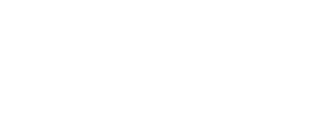 havas.png